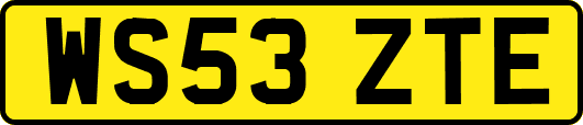 WS53ZTE