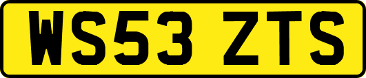 WS53ZTS