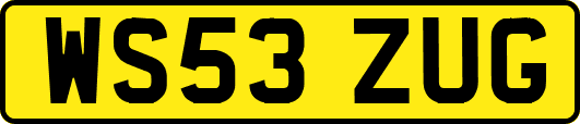 WS53ZUG
