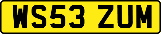 WS53ZUM