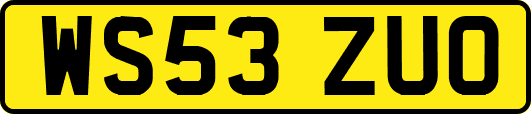 WS53ZUO