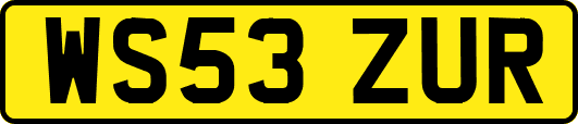WS53ZUR
