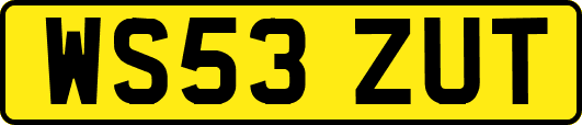 WS53ZUT