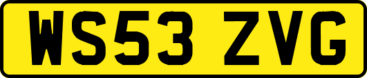 WS53ZVG