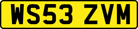 WS53ZVM