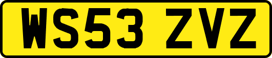 WS53ZVZ