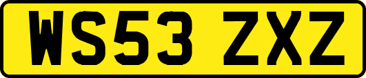 WS53ZXZ
