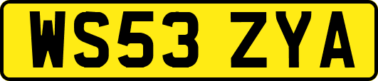 WS53ZYA