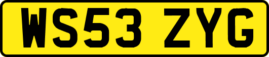 WS53ZYG