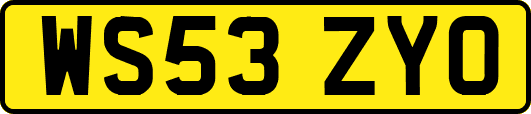 WS53ZYO