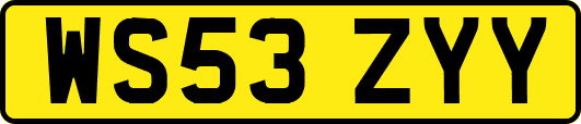 WS53ZYY