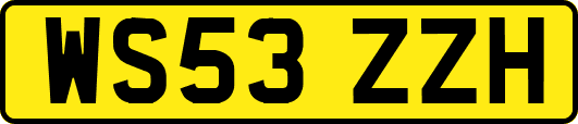 WS53ZZH