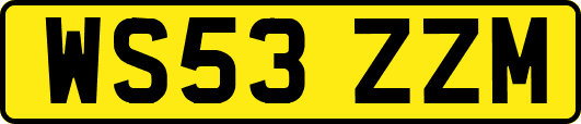WS53ZZM