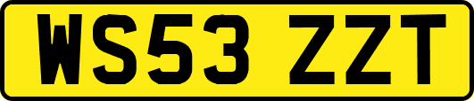 WS53ZZT
