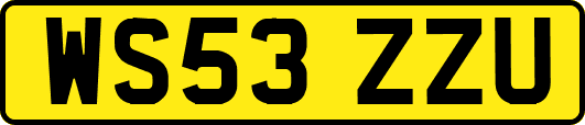 WS53ZZU