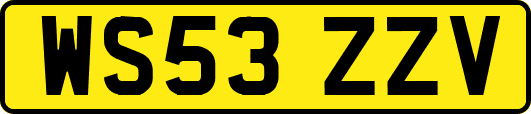 WS53ZZV