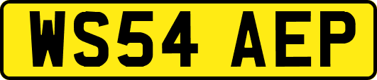 WS54AEP