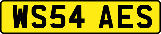 WS54AES