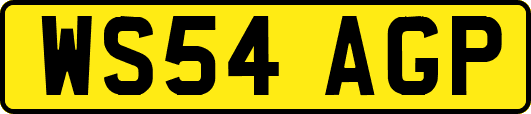 WS54AGP