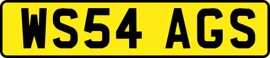 WS54AGS