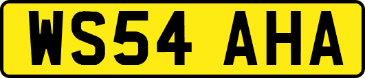 WS54AHA