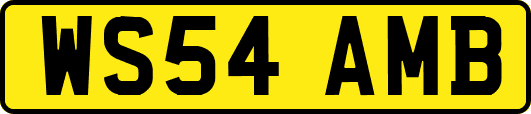 WS54AMB