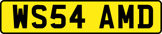 WS54AMD