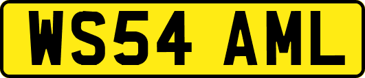 WS54AML