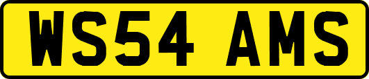 WS54AMS