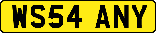 WS54ANY
