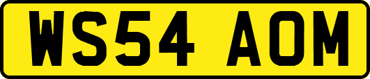 WS54AOM