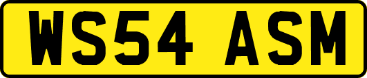 WS54ASM
