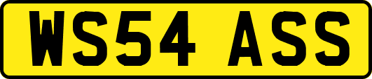 WS54ASS