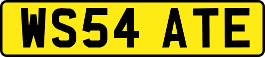WS54ATE