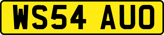 WS54AUO