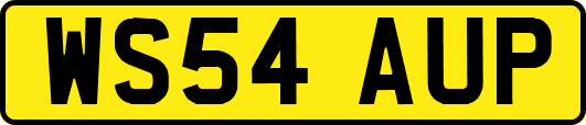 WS54AUP