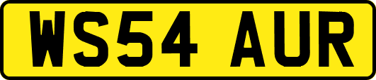 WS54AUR