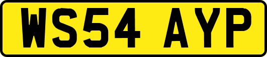 WS54AYP