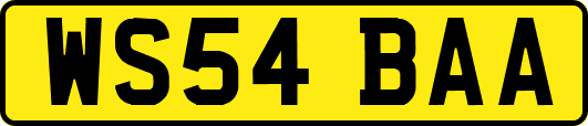 WS54BAA