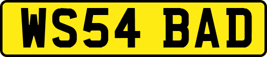 WS54BAD