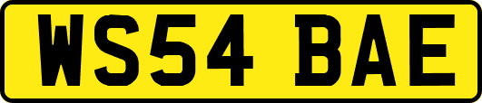 WS54BAE