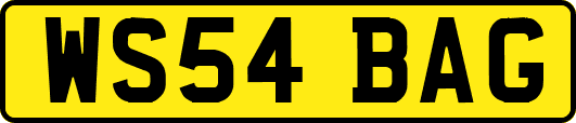 WS54BAG