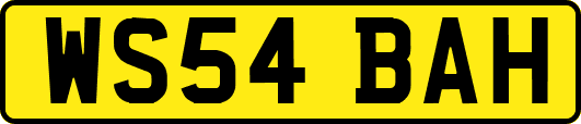 WS54BAH