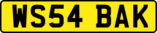 WS54BAK