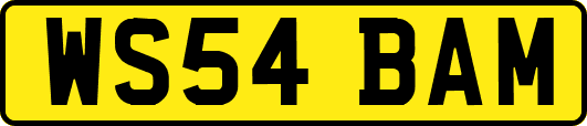 WS54BAM