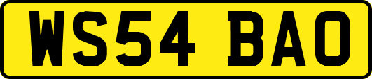 WS54BAO
