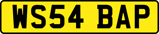WS54BAP