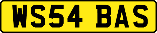 WS54BAS