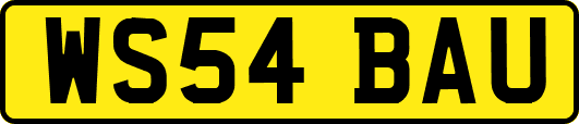 WS54BAU