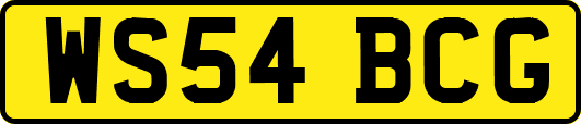 WS54BCG